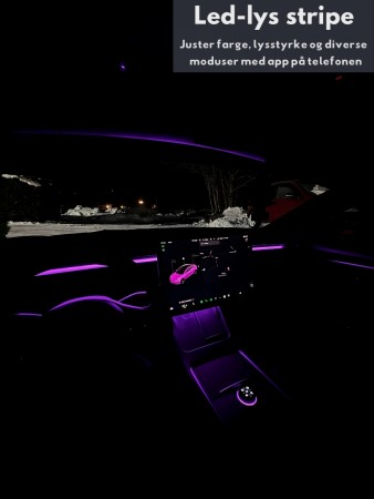 RGB Led-list dashbord - Model Y & 3
